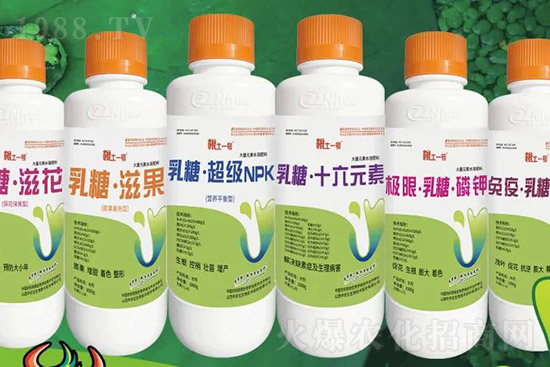 �J����������c����Щ���J����������ôʩ