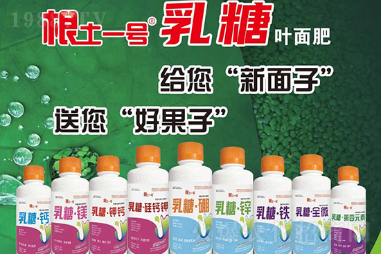 �J����������c����Щ���J����������ôʩ