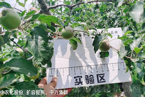     ����(sh��)�״���ɜp���r(n��ng)ˎ���������ƹ��ӵ����^Ʒ�|(zh��)���ɴ����߹�Ʒ�u���������׳��۲��u���߃r(ji��)�����Թ����״�Ŀǰ��Ȼ���҇����@����Ҫ�����������״��O��������Ǻã�Ҳ�ٲ�����