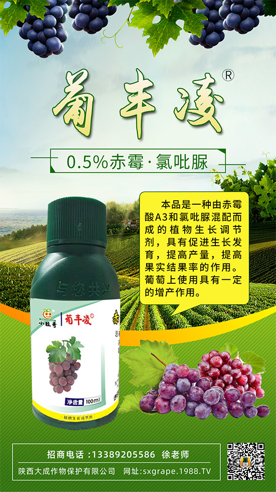 ���ѹ���ϡ������С����(y��n)����ô�k���@Щ�����ஔ(d��ng)��Ҫ