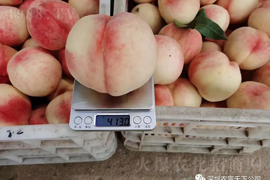 �Ҙ�(sh��)�����ô�k���Ҙ�(sh��)���ԭ���A(y��)������