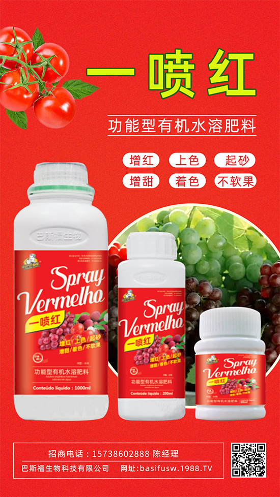 �����D(zhu��n)ɫ����������������������u�r�ߣ���ǰ������