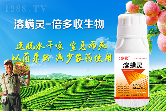 �ļ������~�����l(f��)��ô�k�������~����ԓ���ӷ��Σ�