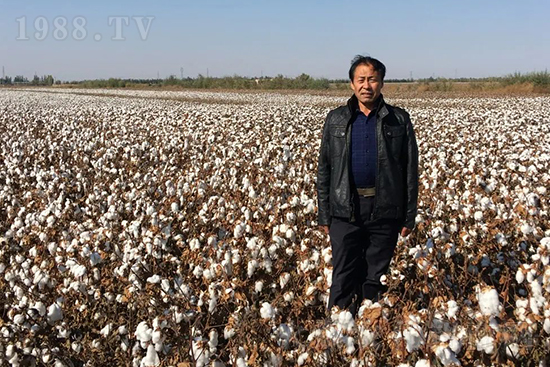 中農(nóng)化新疆北疆辦事處負(fù)責(zé)人:同路同行共發(fā)展