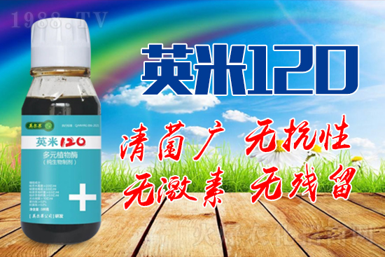 ��轰׷۲��İY����ʲô����轰׷۲����η�����