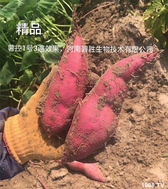     �������c(di��n)��