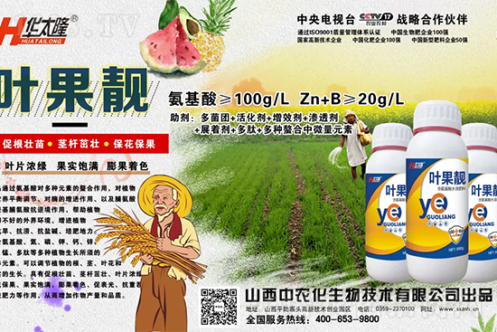     �O������(g��)С��ʲôԭ������Q��������Щ��