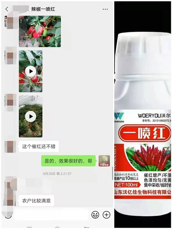 增紅率提高95%!催紅不落葉!收入翻幾番!就用辣椒一噴紅!