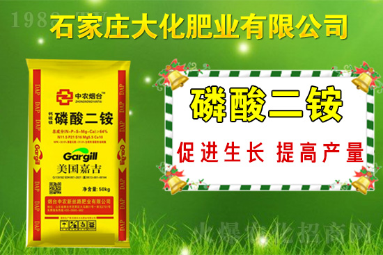 ��(zh��n)�Ժ�����������ʯ���f�󻯷ʘI(y��)�ٴκ��s1988.TV��