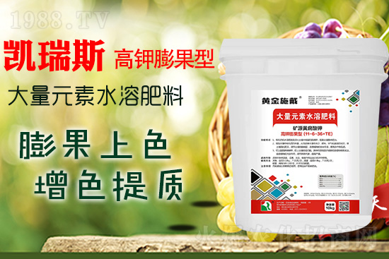     ���M���������ɫ���@���䷽�ʛ]�e���������|���a(ch��n)��