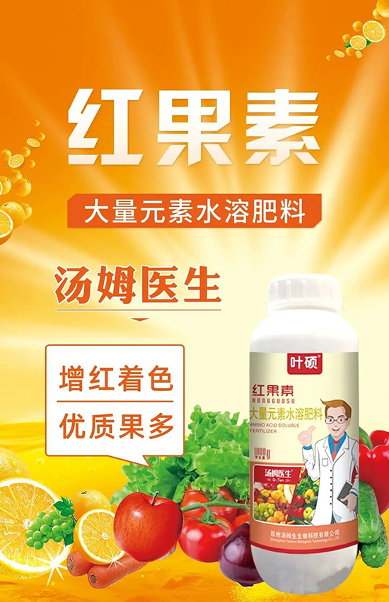 �t���ء�ֻ���D(zhu��n)ɫ�������D(zhu��n)ɫ���������߼t���ó���