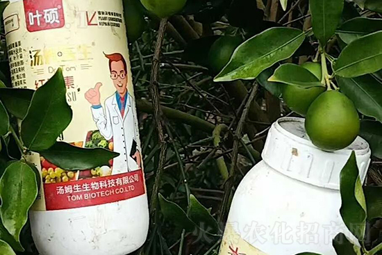 �t���ء�ֻ���D(zhu��n)ɫ�������D(zhu��n)ɫ�����ߣ��߼t���ó���