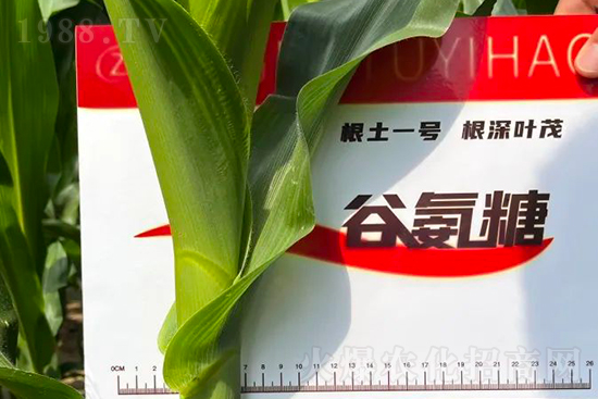 ��Դ������������I�B(y��ng)�a(b��)��ȫ����