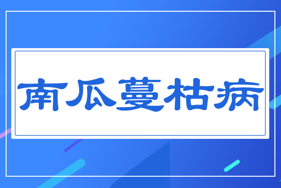 �Ϲ����ݲ�