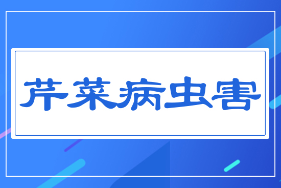 �۲˲��x��