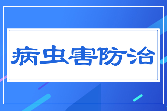 病蟲(chóng)害防治