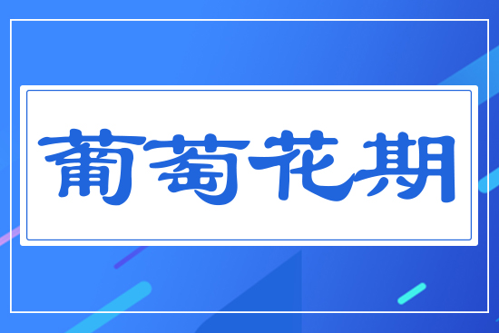 ���ѻ���