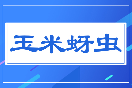 �������x(ch��ng)