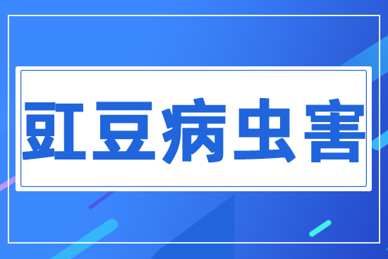 �������x(ch��ng)��