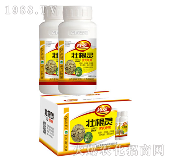 �Ѹ��`�S�Ό���-��������