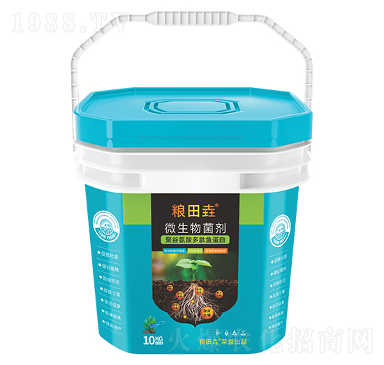 �۹Ȱ�������~����-�Z�-������r