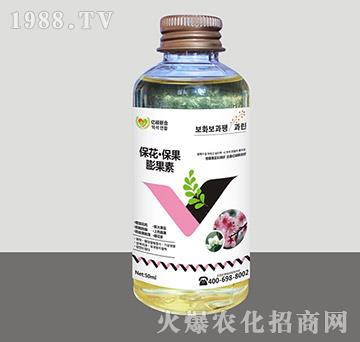 ���������������-�R�Sֲ��