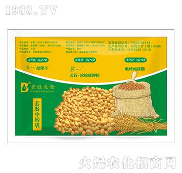 �ײ����D��-�̄�����