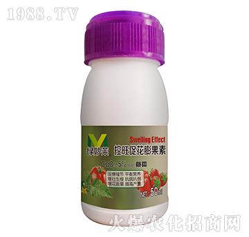 �����ٻ������-�G���R-������A