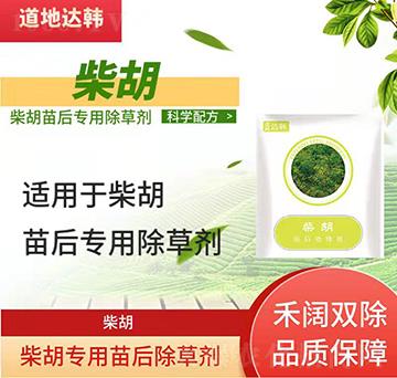 ������݄�-������-�����(zhu��n)��-���n