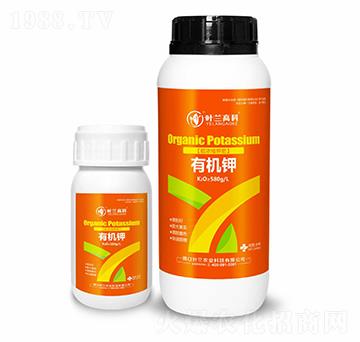 �ЙC�-�~�m�߿�