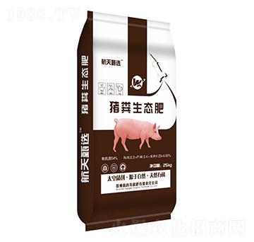 �i�S���B(t��i)��-�����ЙC��