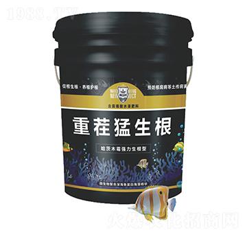 �ز�������-������r(n��ng)