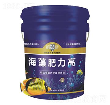 ���������-������r