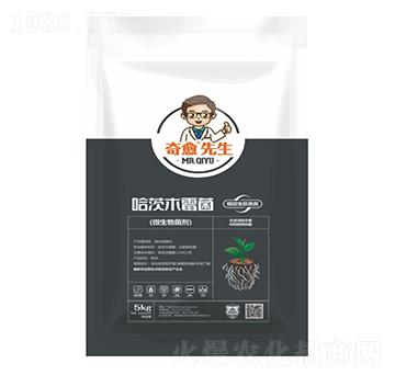 ����ľù��������������-��������-������r(n��ng)