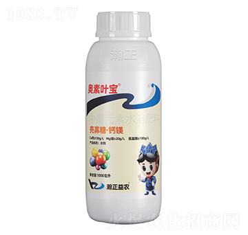 �����ǡ��}�V-�W���~��-������r