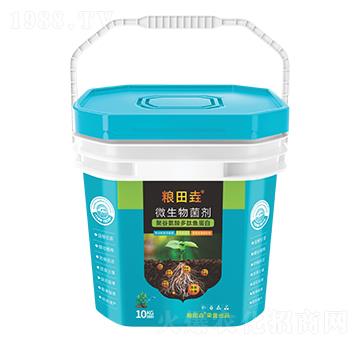 �۹Ȱ�������~����-�Z�-������r