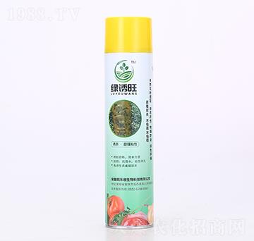 �Ϲ���ω�Tճ��-�G�T��-���