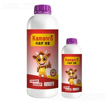 ����-�����_