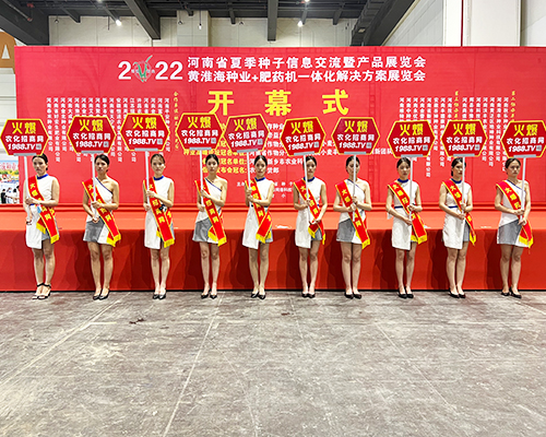 �����]�����Ĵ������������L(f��ng)�ɱM�@��