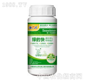 ����Ԫ-�G�Ŀ�