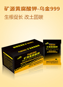 �½���ɫ���B(t��i)�Ƽ��ɷ����޹�˾